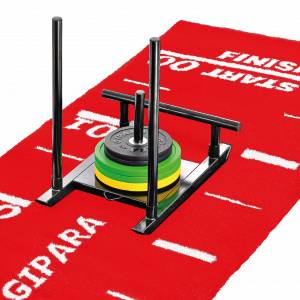 Sled track