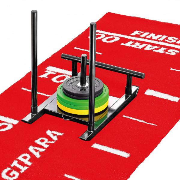 Sled track