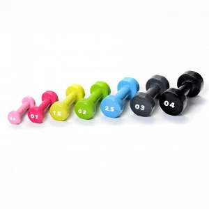 BASIC vinyl dumbbells