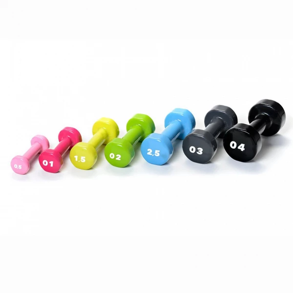 BASIC vinyl dumbbells