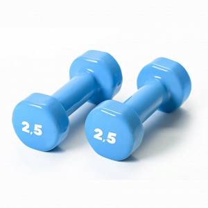 BASIC vinyl dumbbells