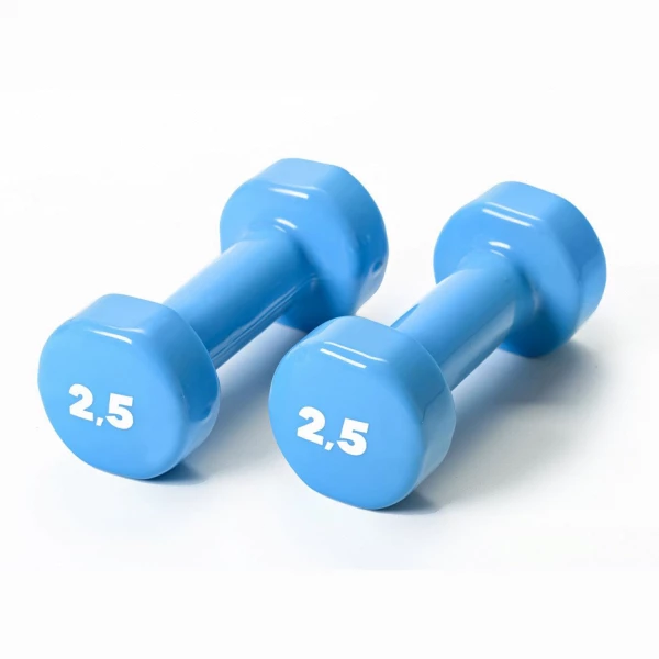 BASIC vinyl dumbbells